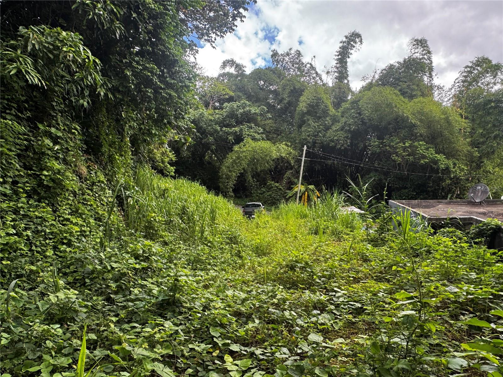 GURABO — foto 3