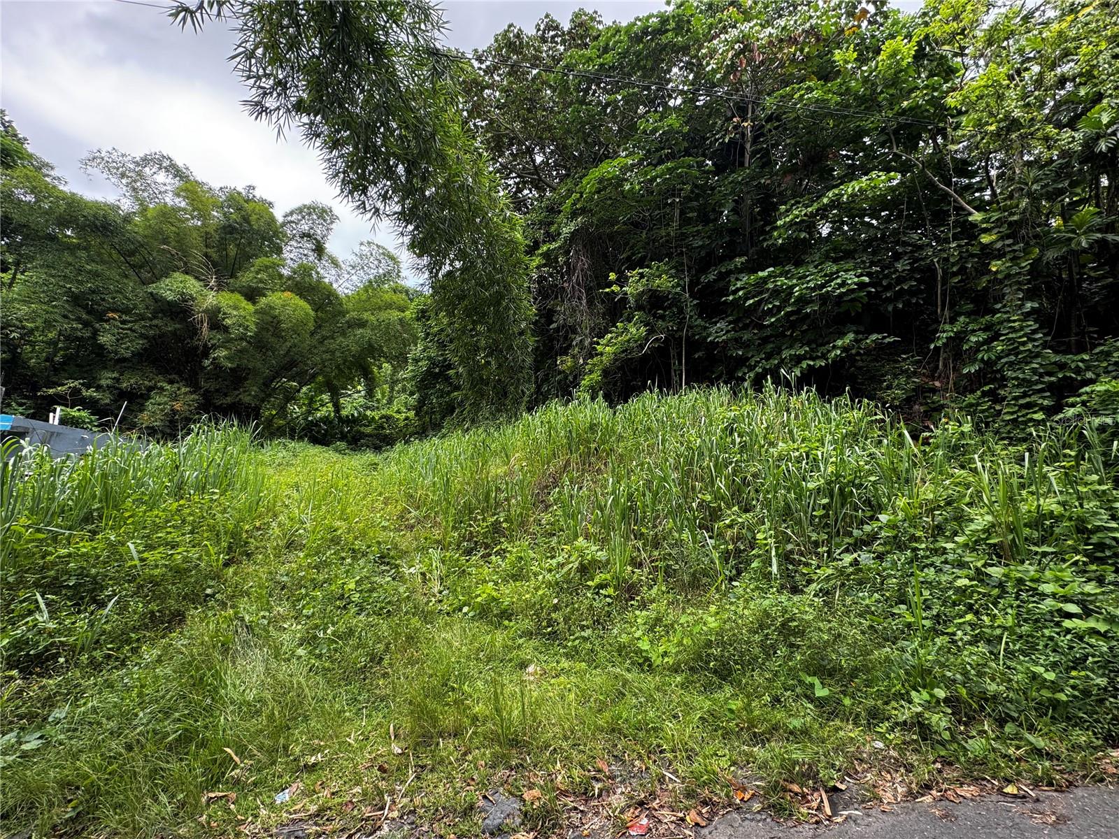 GURABO — foto 10