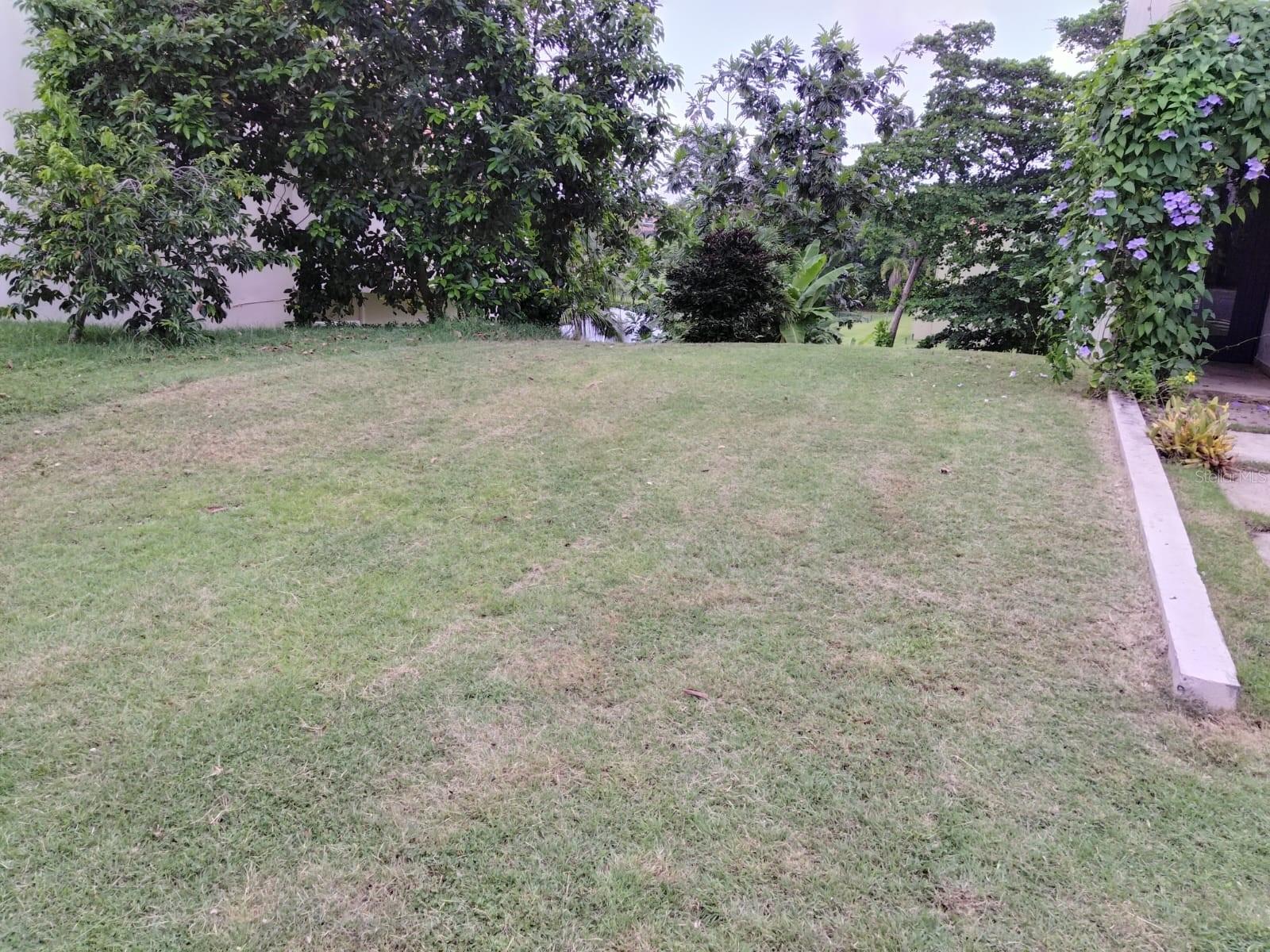 HUMACAO — foto 4