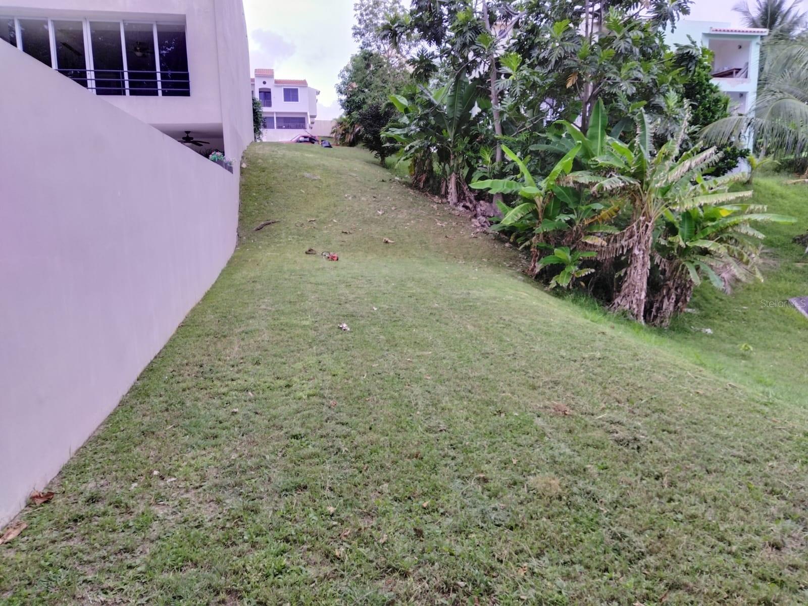 HUMACAO — foto 5