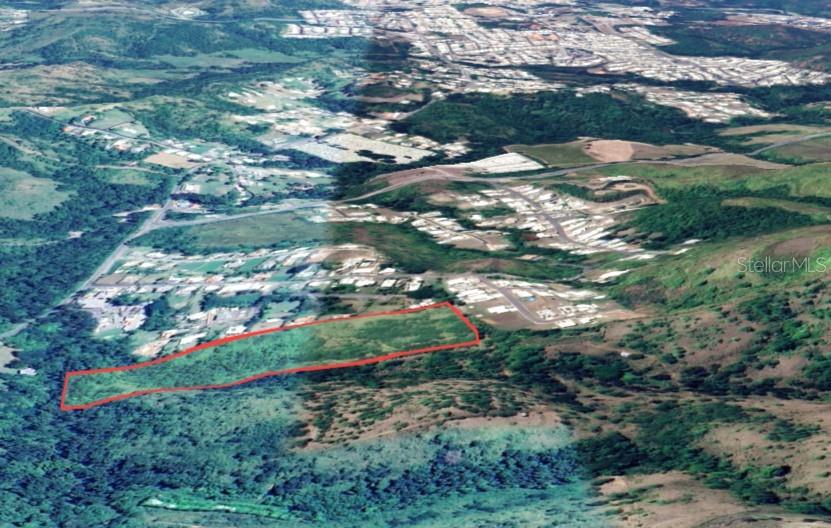 COAMO — foto 11
