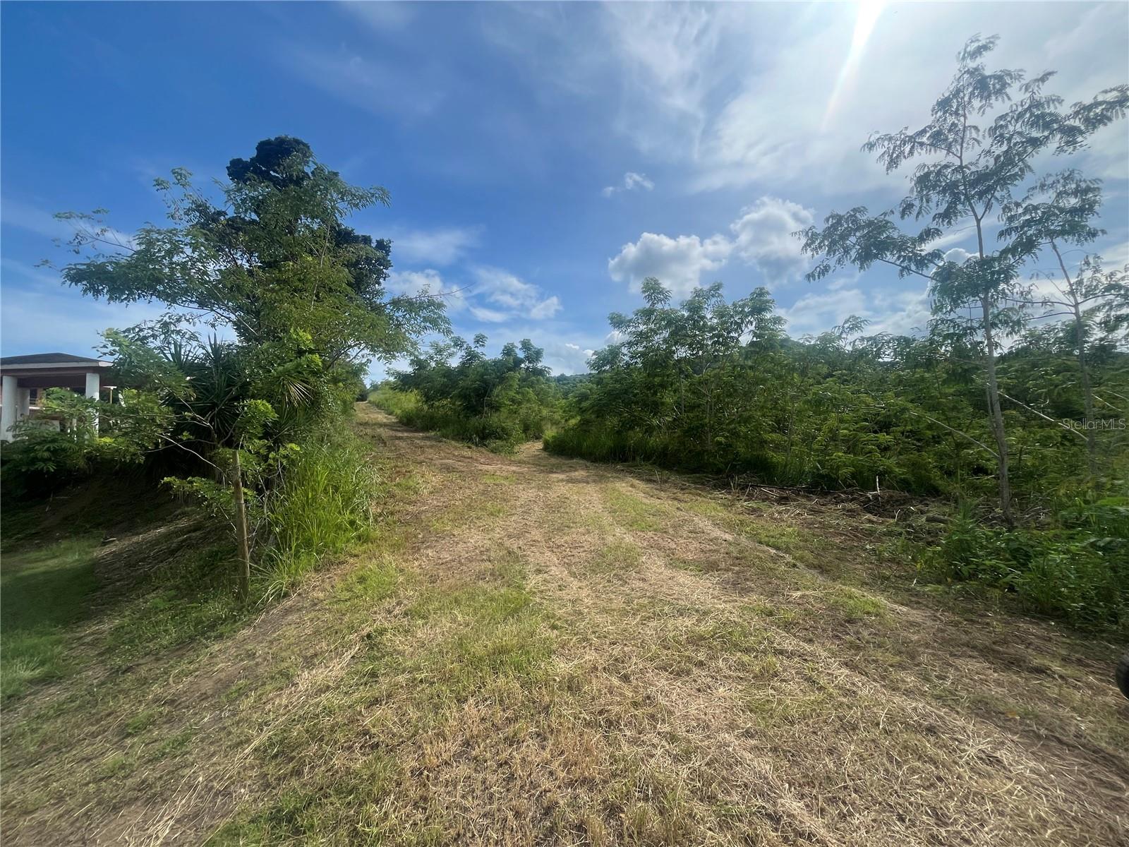 COAMO — foto 3