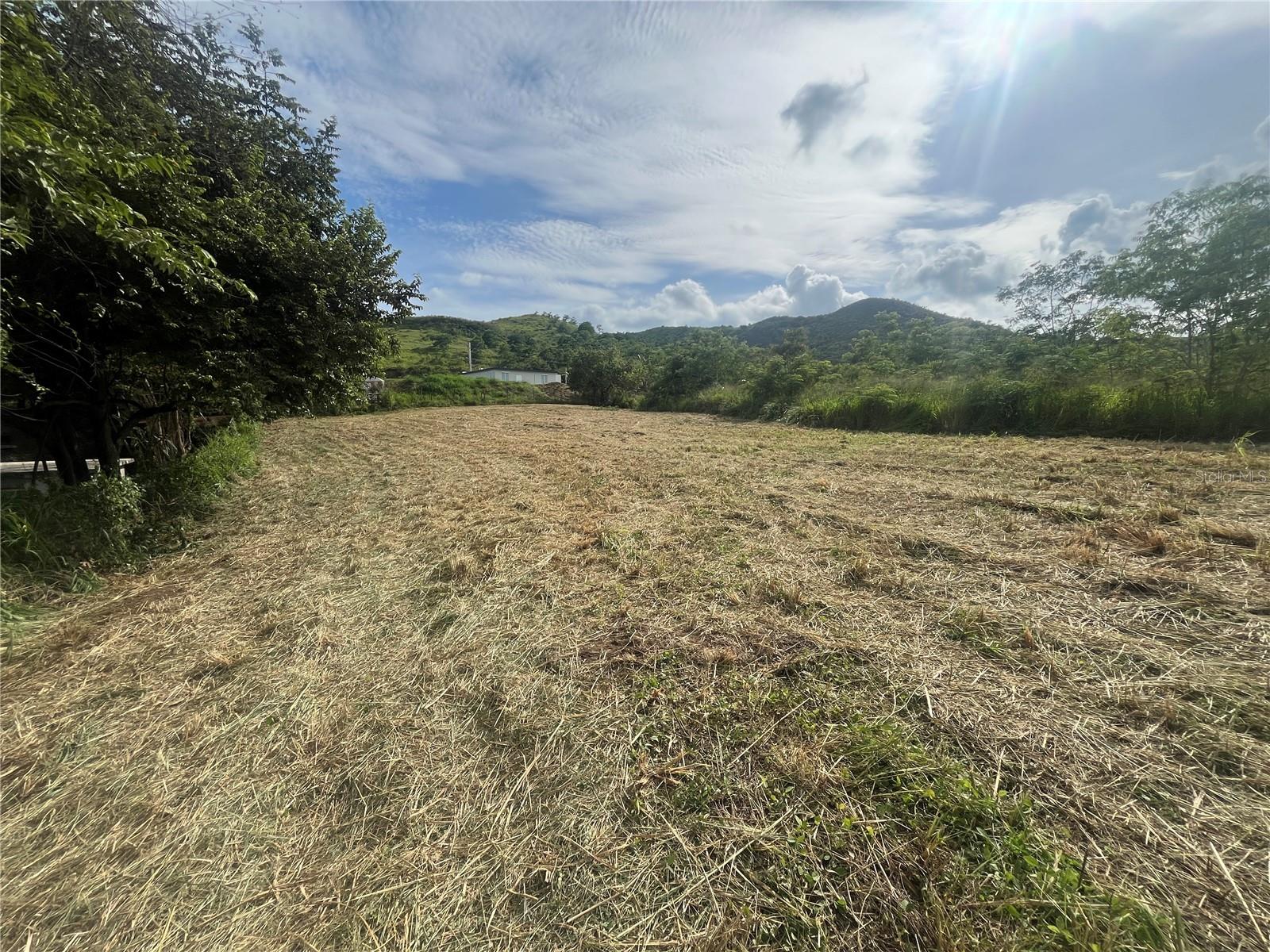 COAMO — foto 6