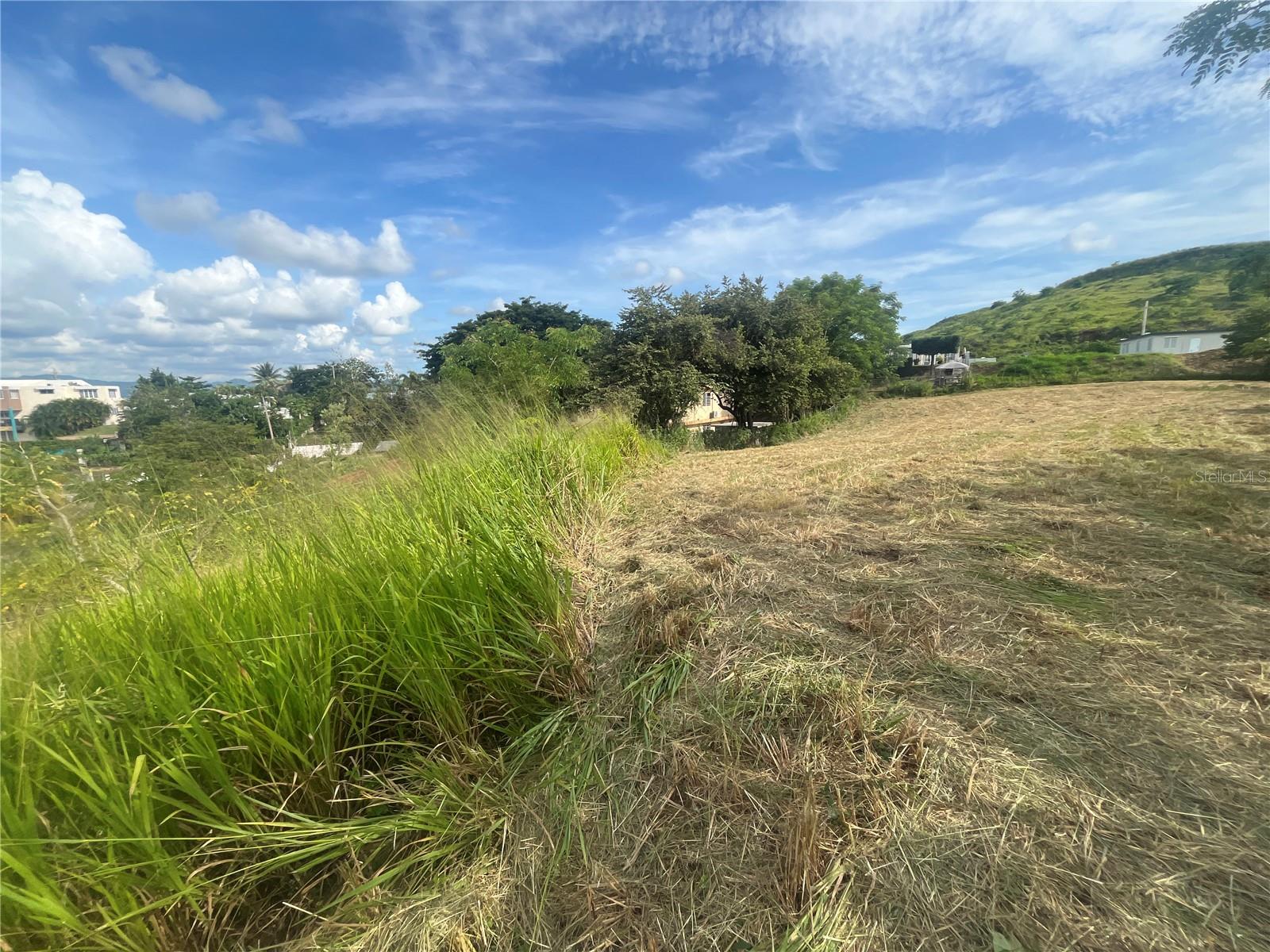 COAMO — foto 7