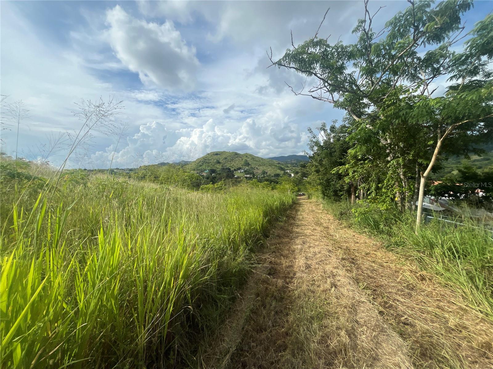 COAMO — foto 8