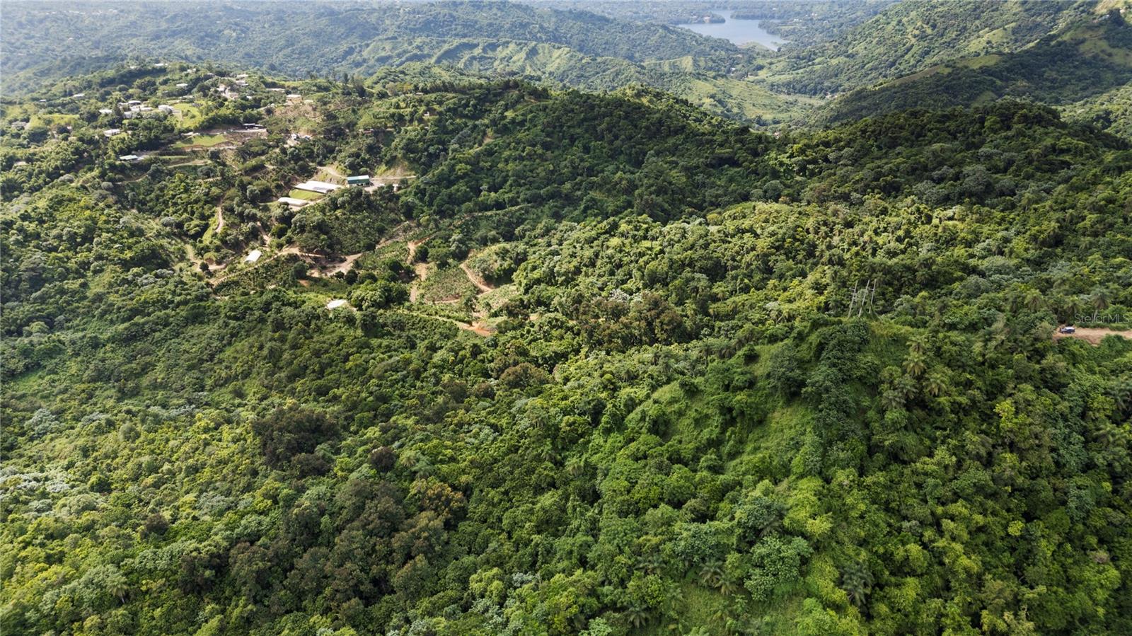 4 hab · 4 baños · JAYUYA — foto 3