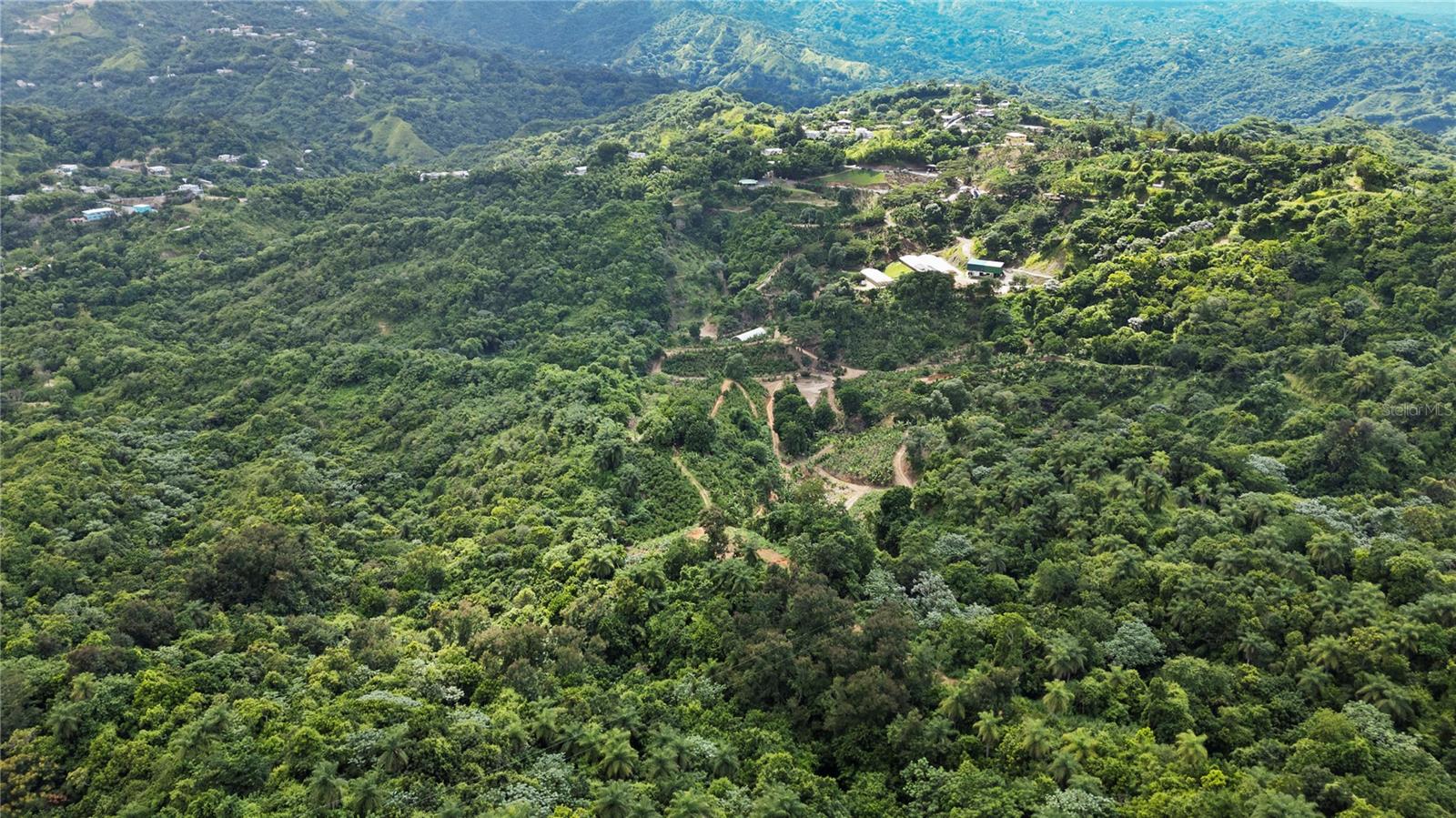4 hab · 4 baños · JAYUYA — foto 5