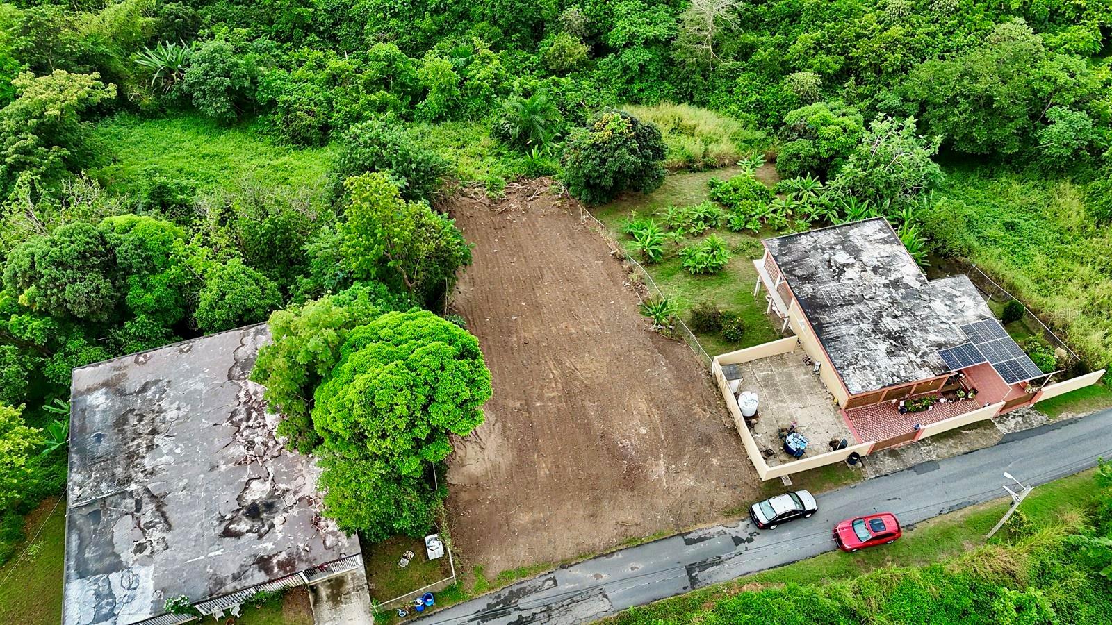 HUMACAO — foto 2