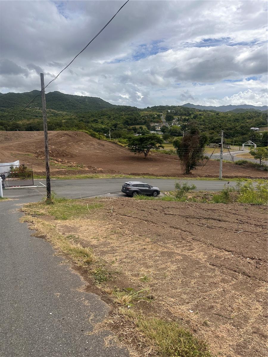 COAMO — foto 3