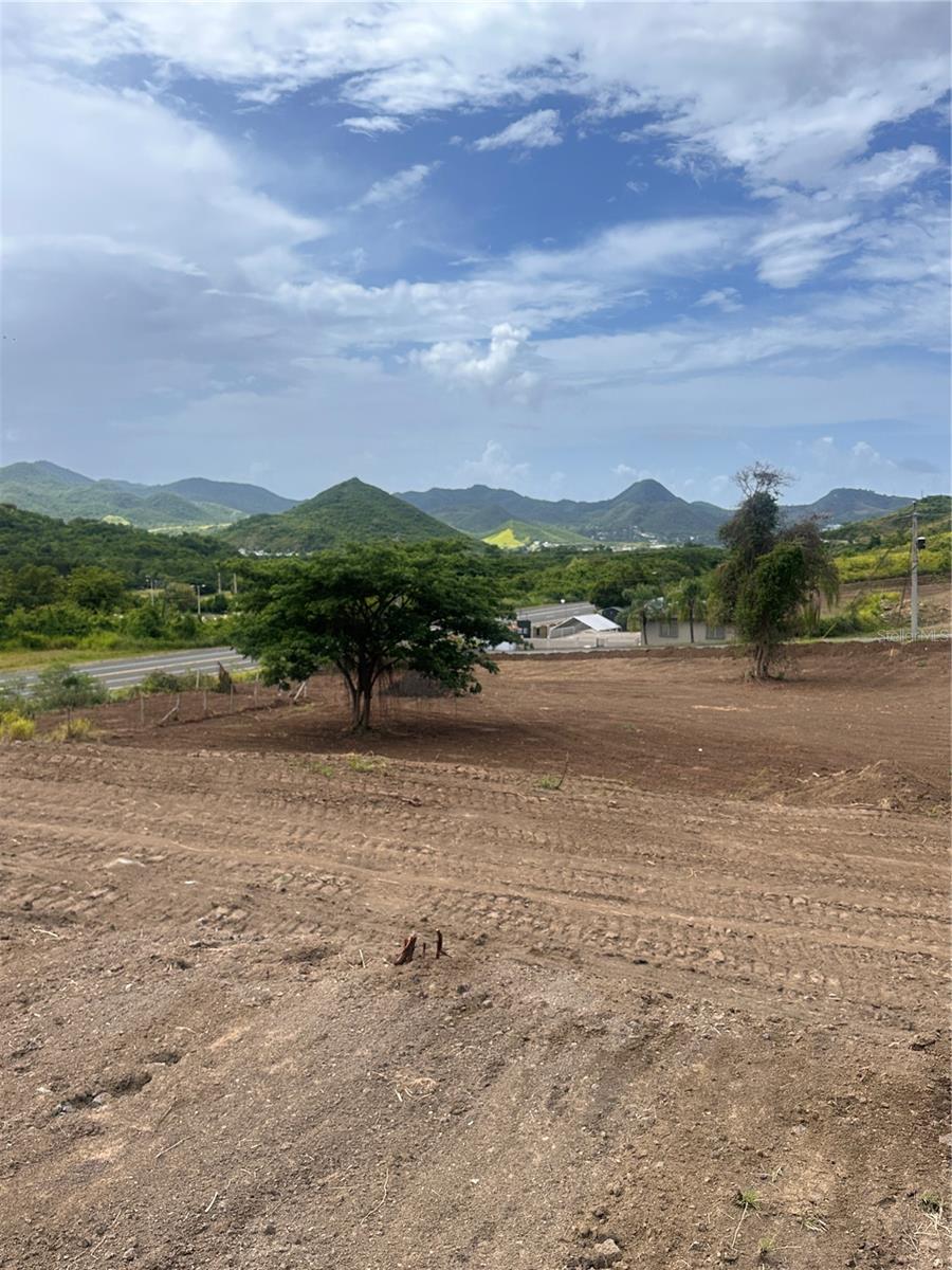COAMO — foto 4