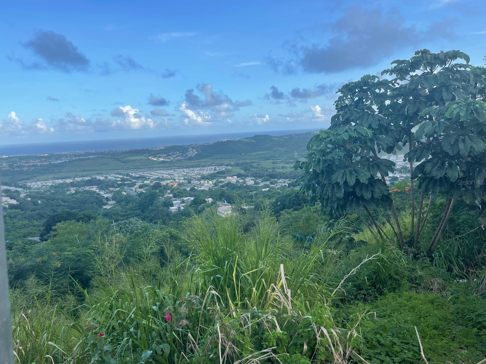 HUMACAO