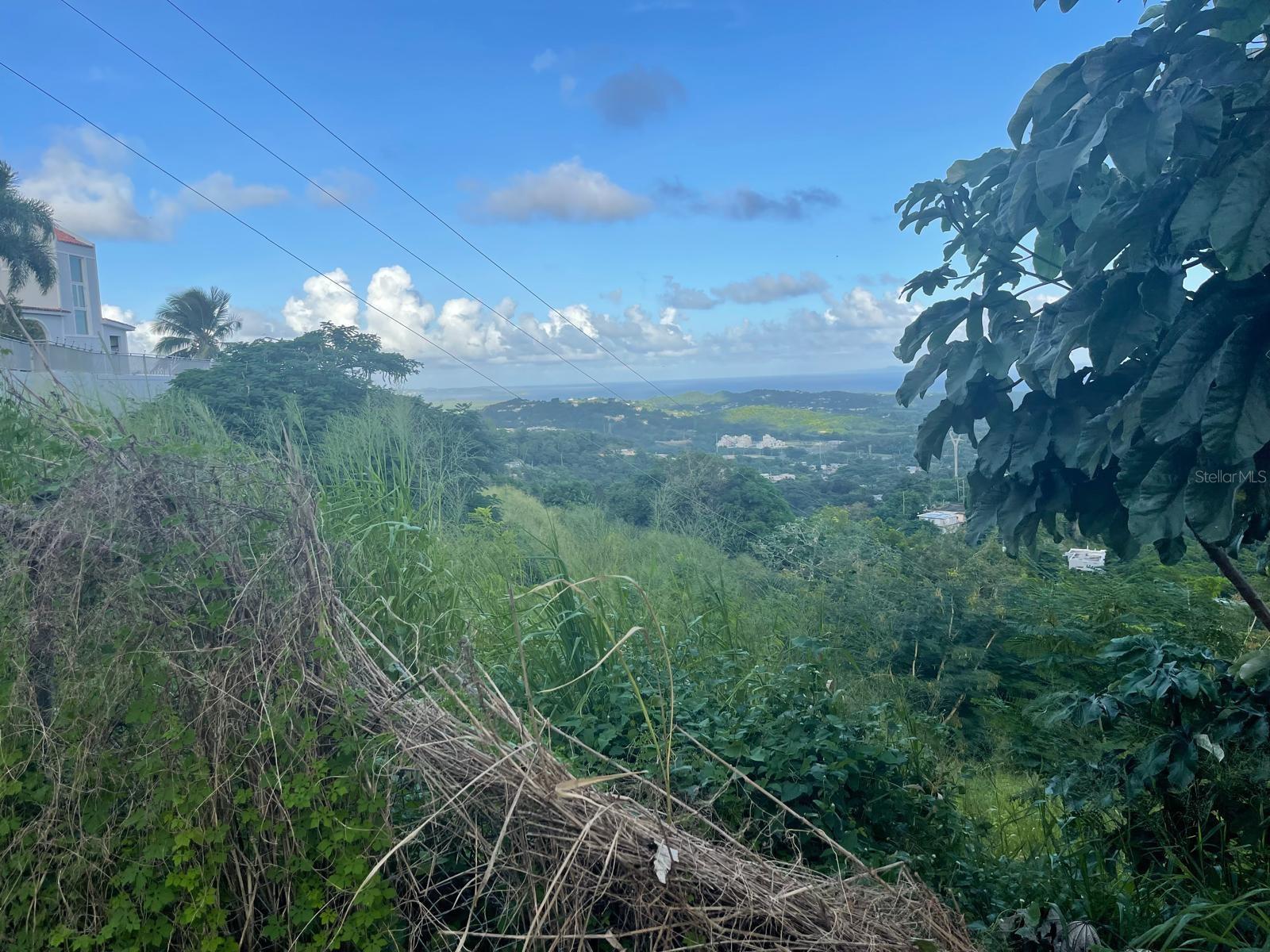 HUMACAO — foto 2