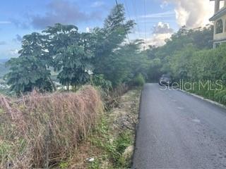 HUMACAO — foto 3