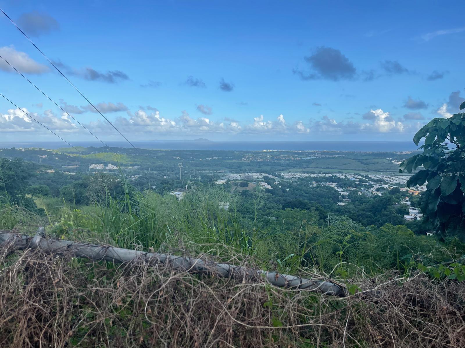 HUMACAO — foto 5