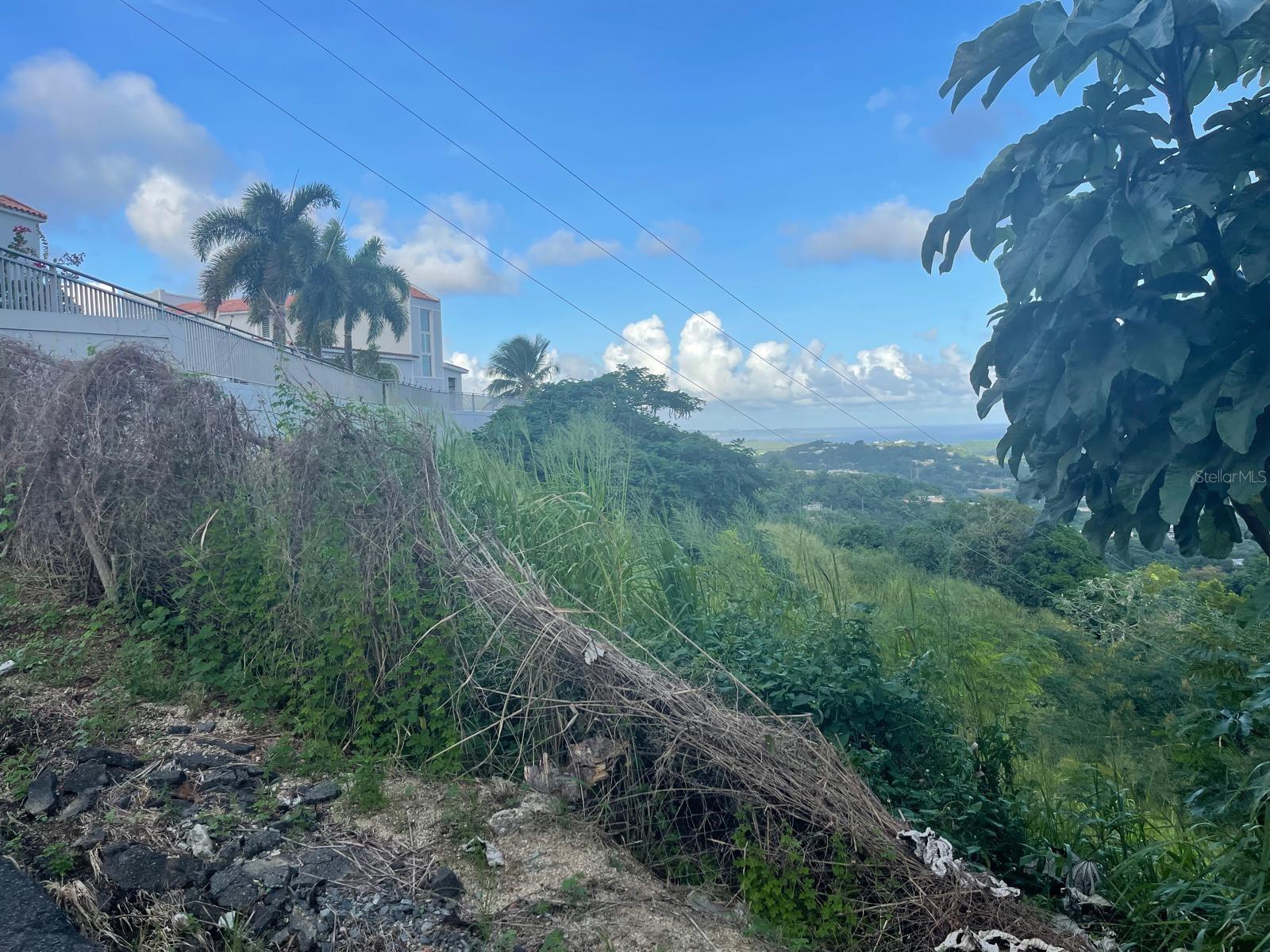 HUMACAO — foto 6