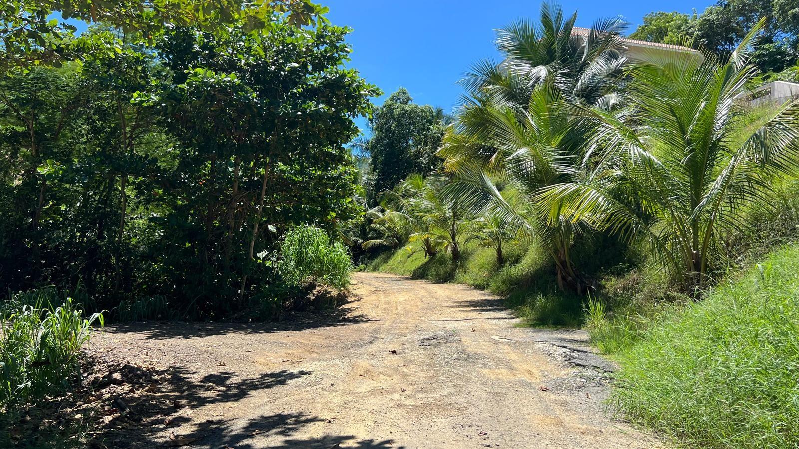RINCON — foto 3
