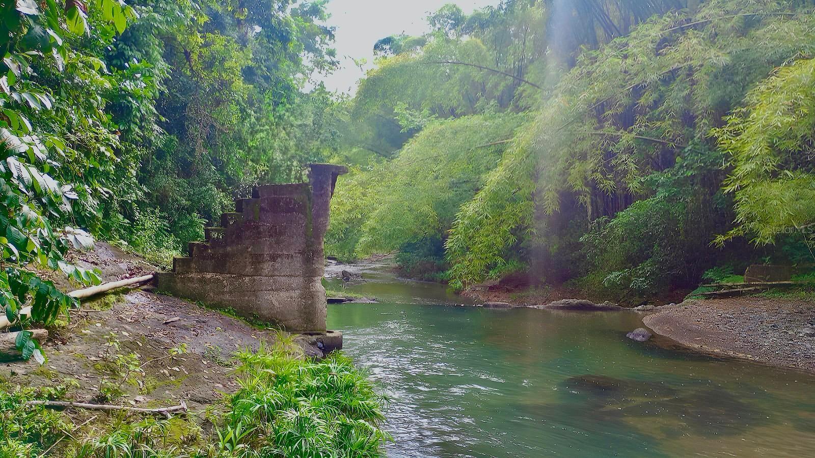 CIALES