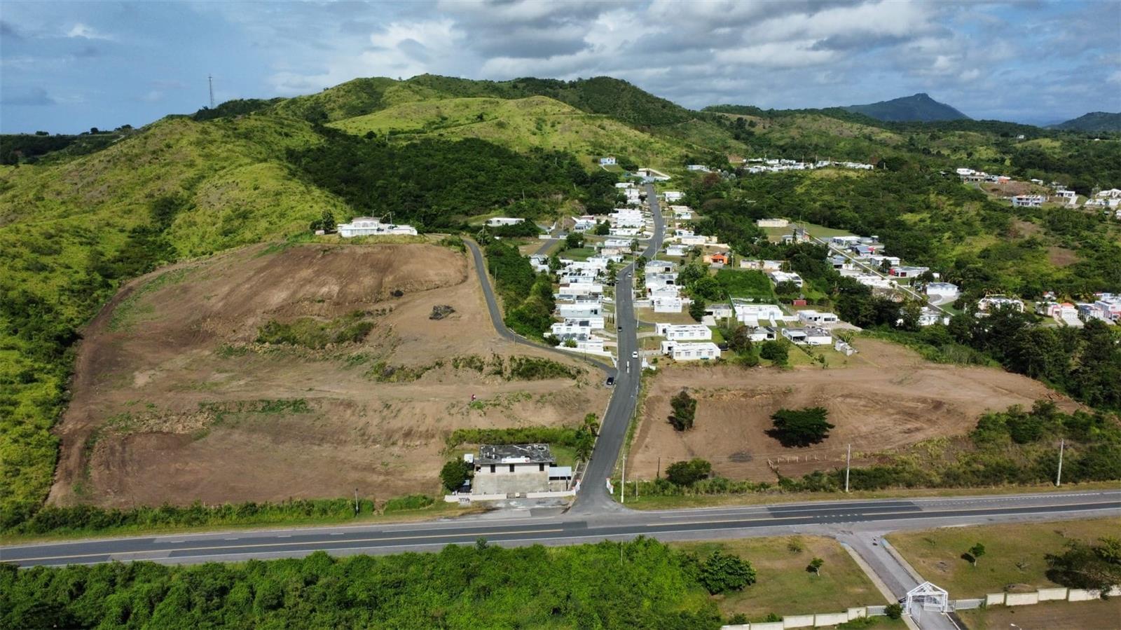 COAMO — foto 3