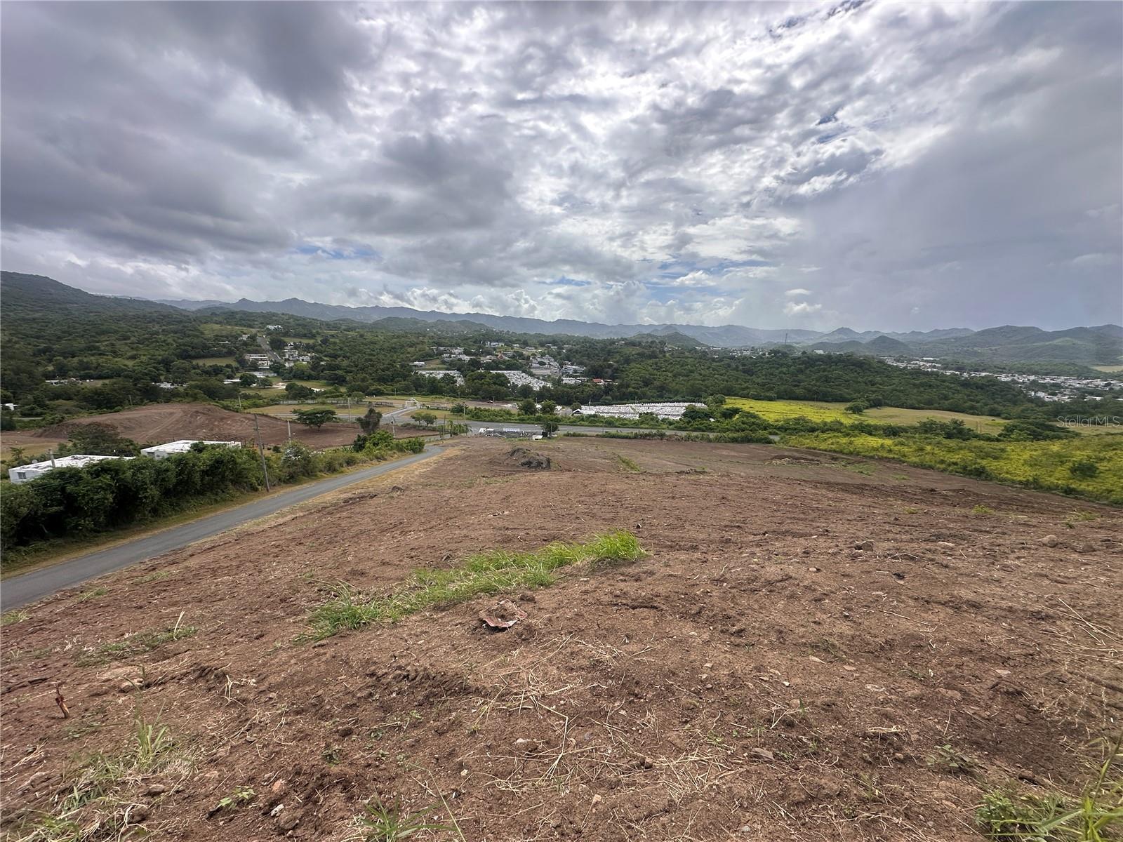 COAMO — foto 4