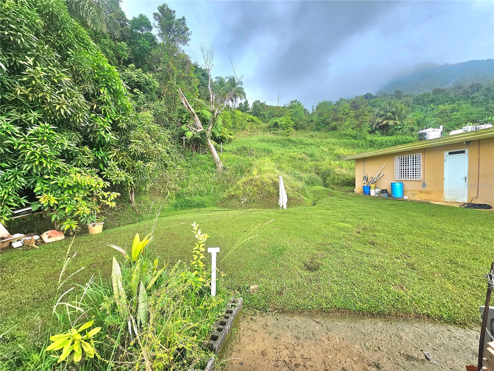 3 hab · 2 baños · NAGUABO — foto 2