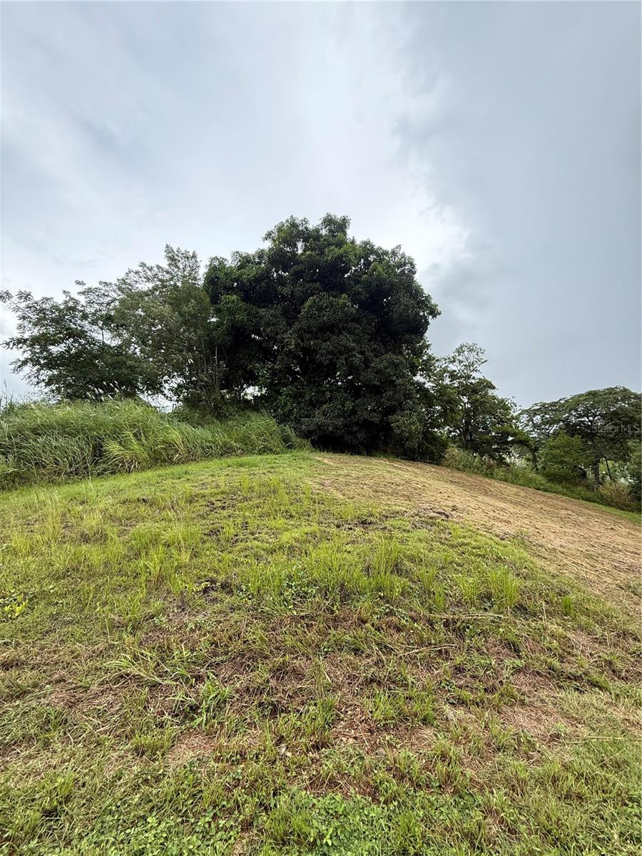 COROZAL — foto 2