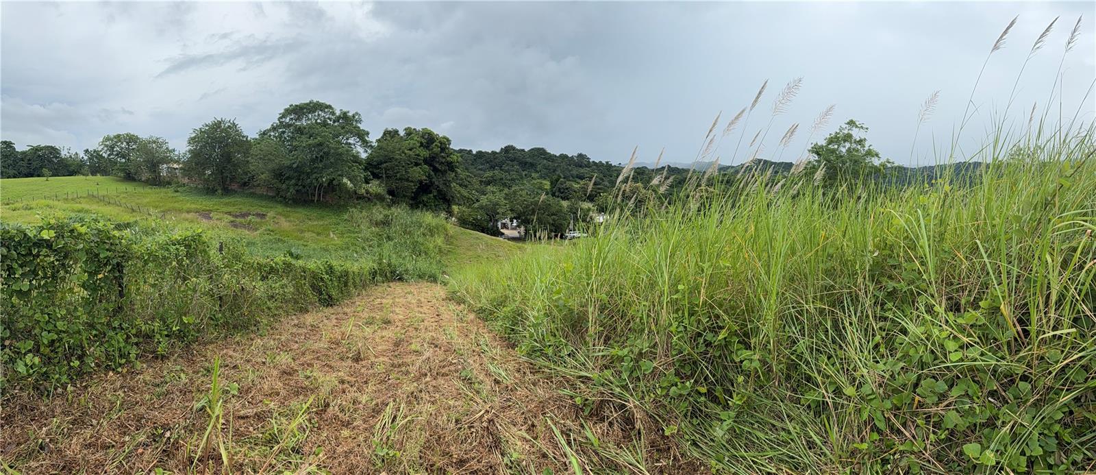 COROZAL — foto 12