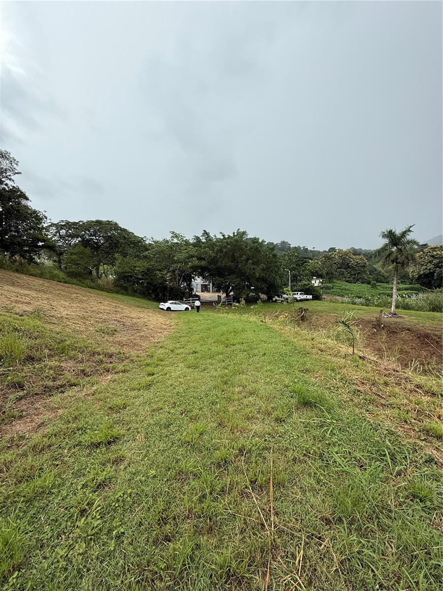 COROZAL — foto 3