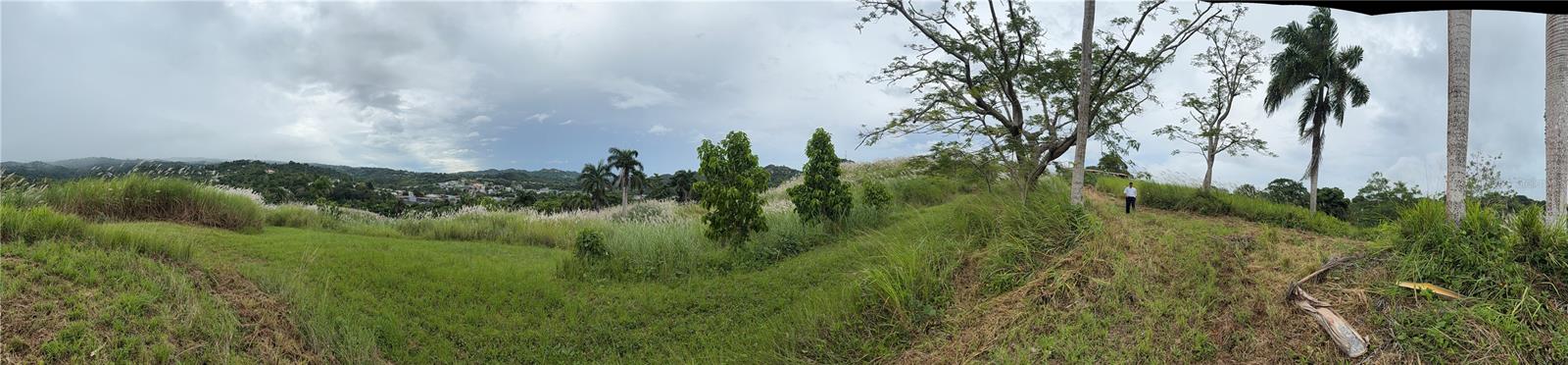 COROZAL — foto 4