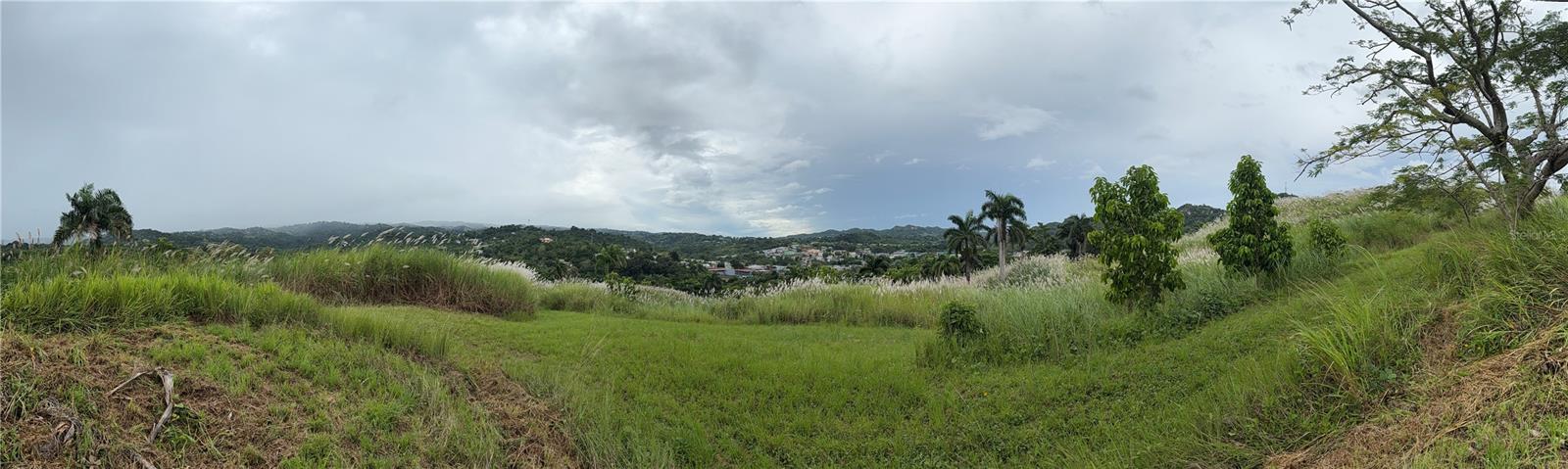 COROZAL — foto 5