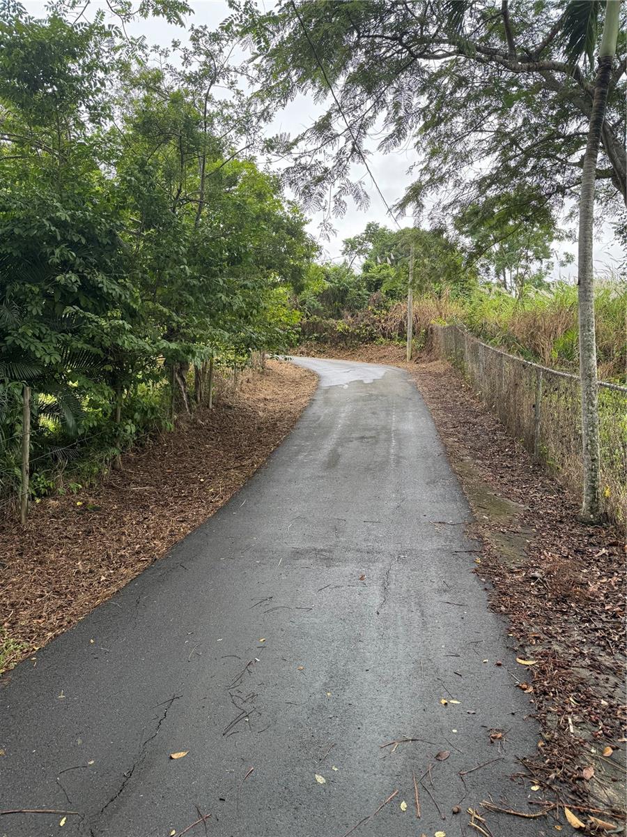 COROZAL — foto 7