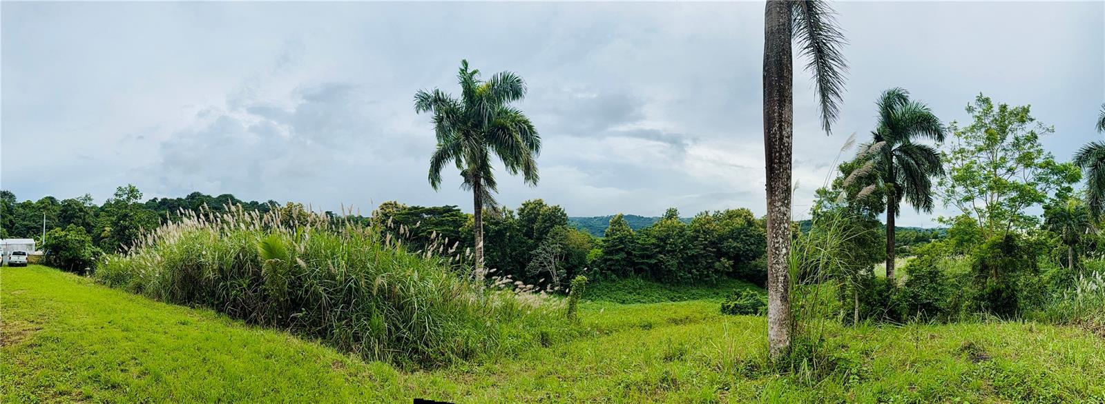 COROZAL — foto 10