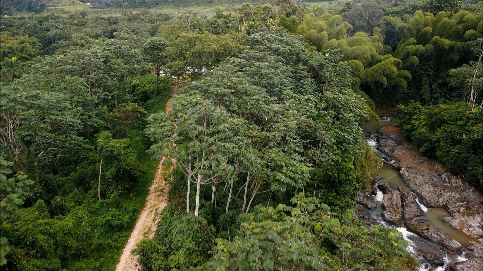 1 hab · 1 baños · UTUADO — foto 5