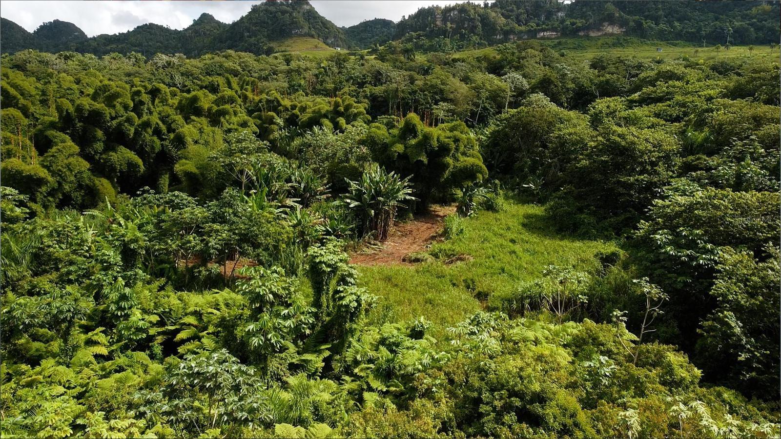 1 hab · 1 baños · UTUADO — foto 7