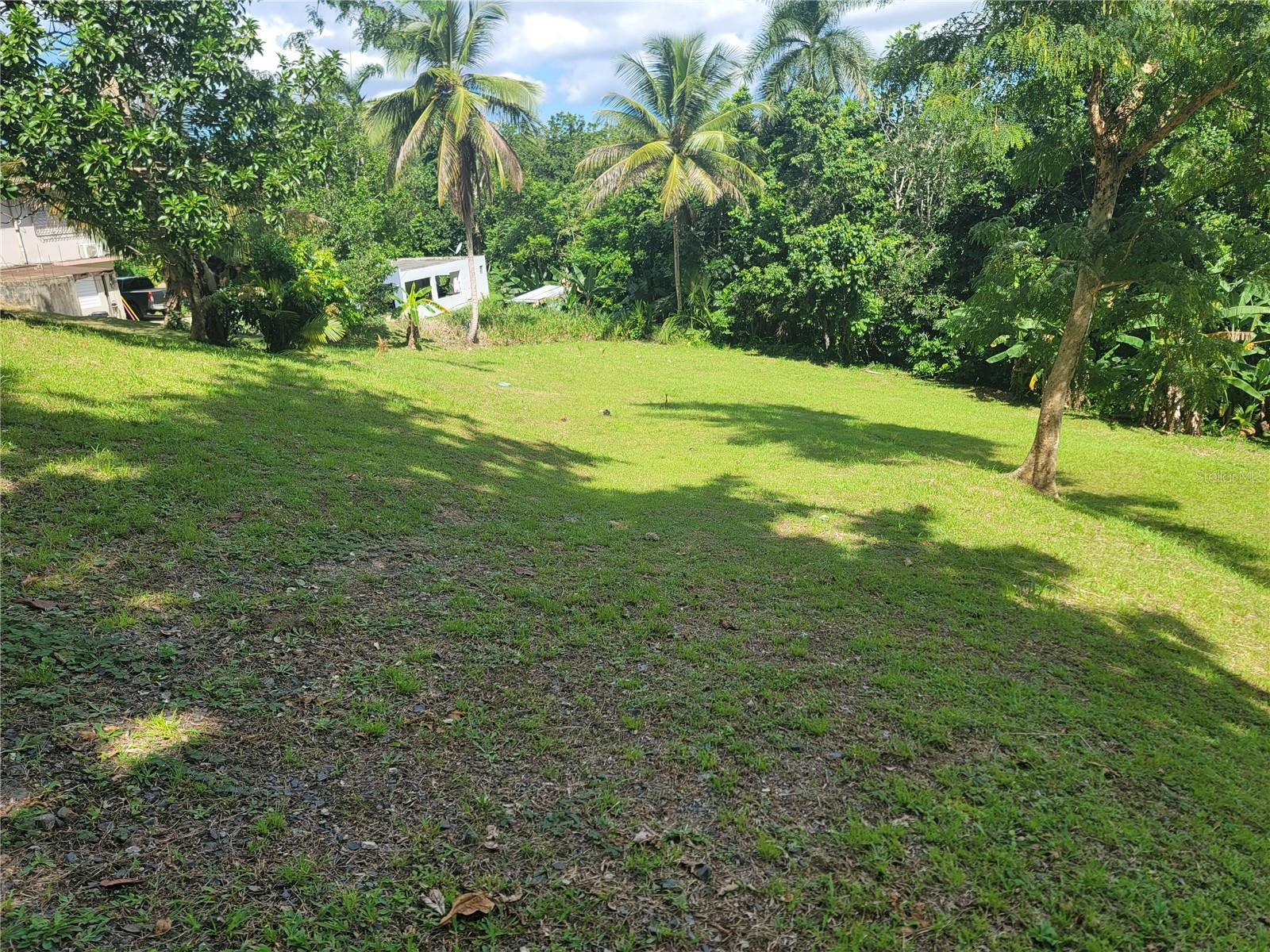 BAYAMON — foto 11