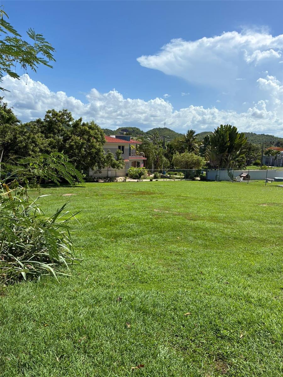 MANATI — foto 3