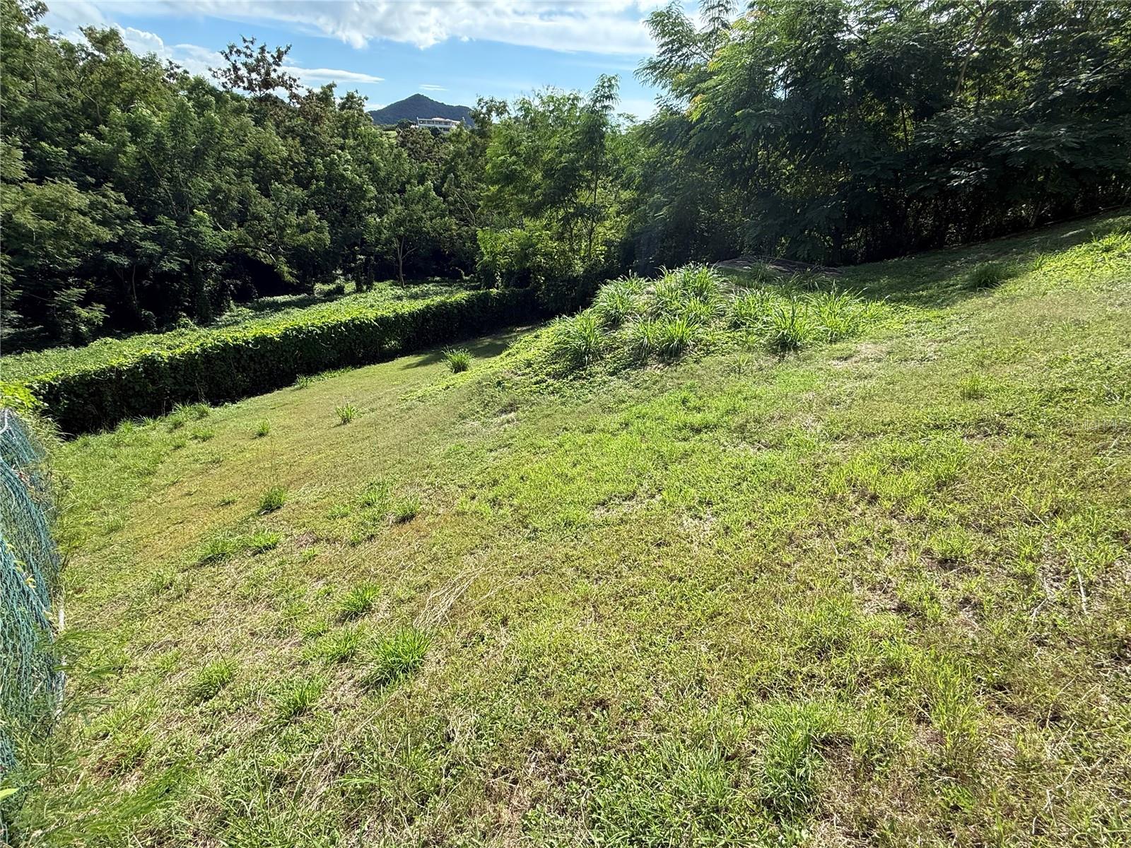 3 hab · 1 baños · RINCON — foto 10