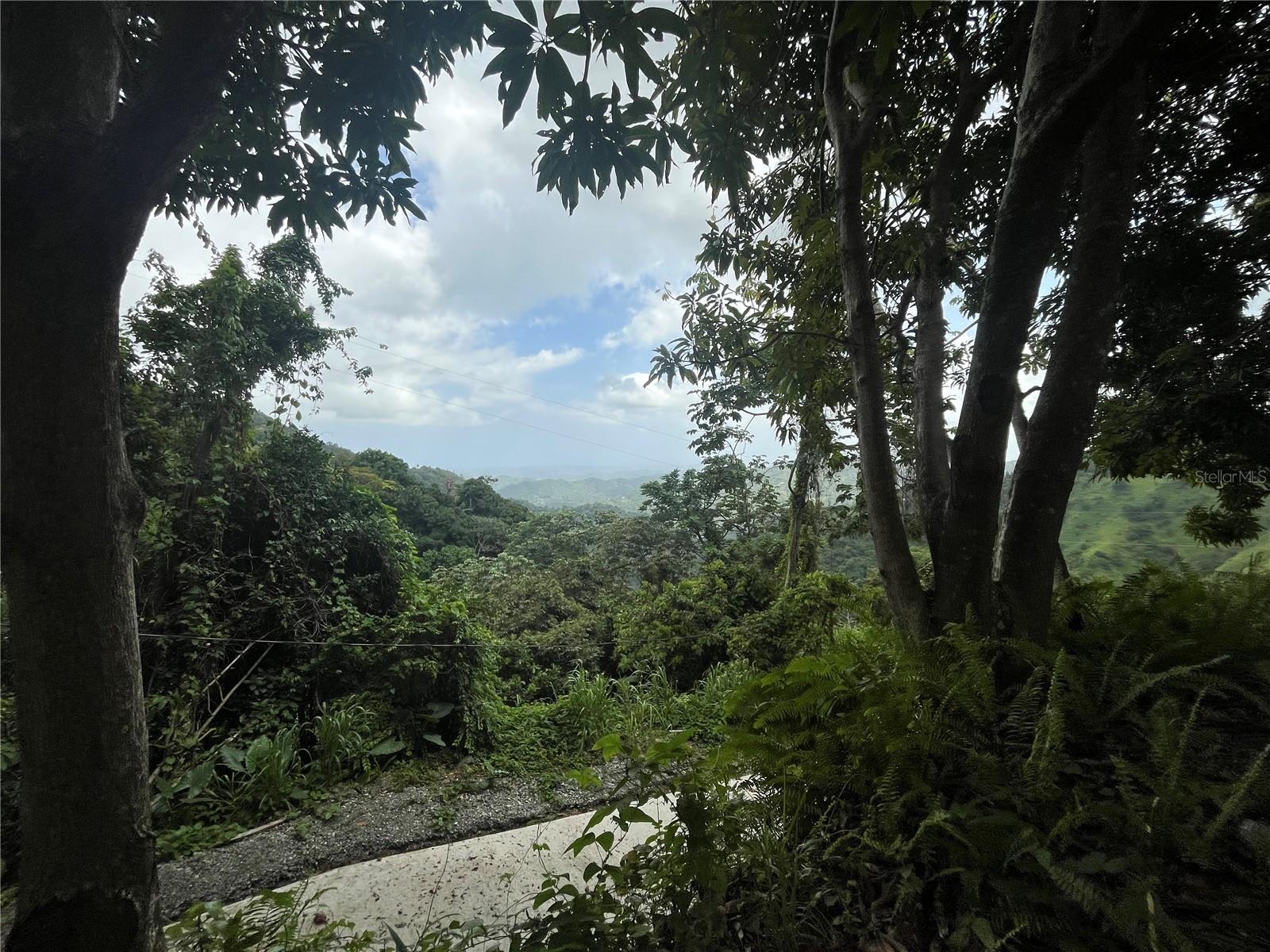 YAUCO — foto 3