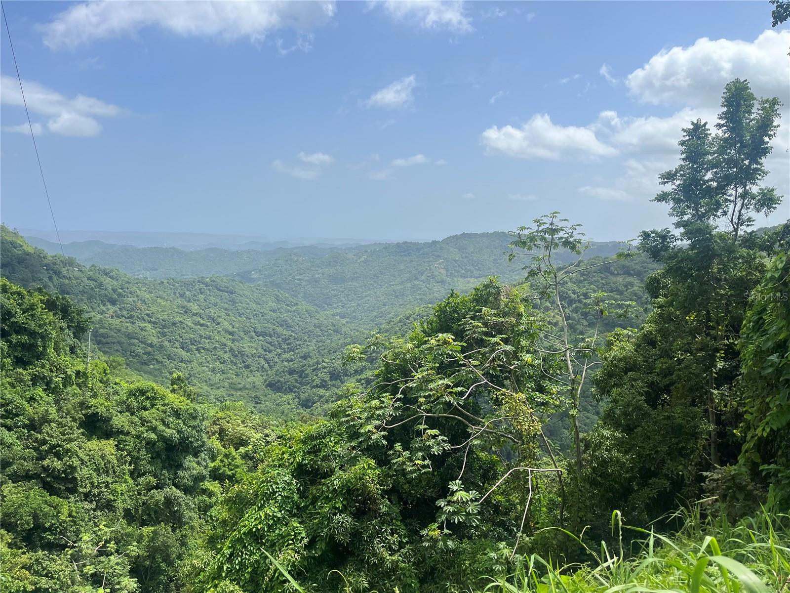 YAUCO — foto 4