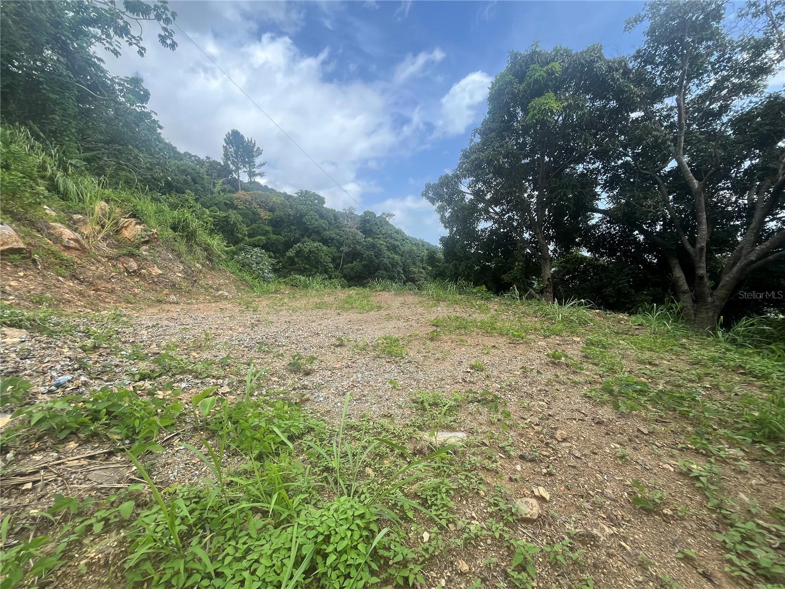 YAUCO — foto 5