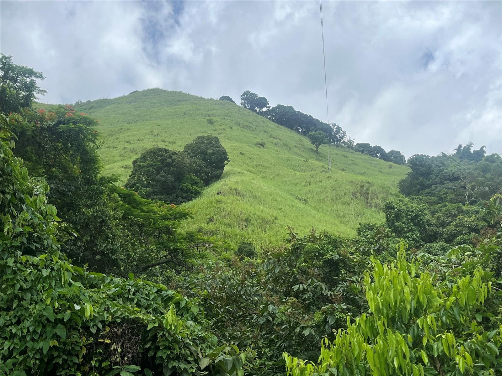 YAUCO — foto 6