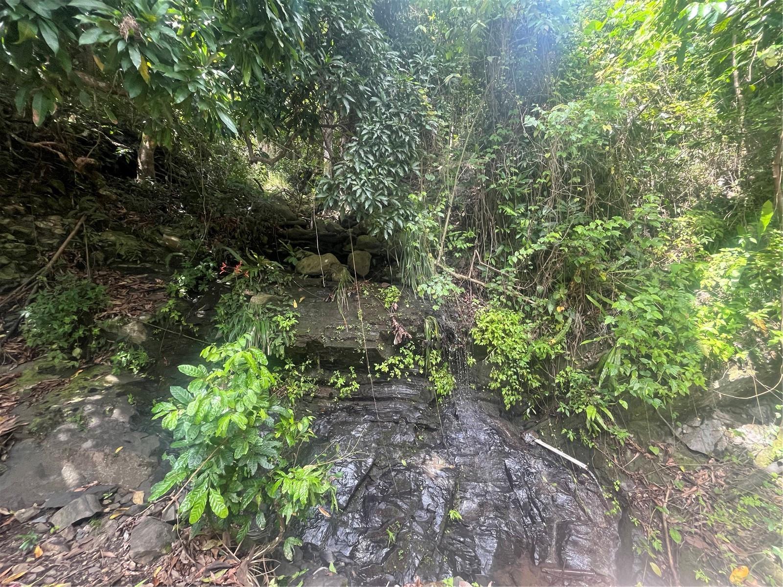 YAUCO — foto 7