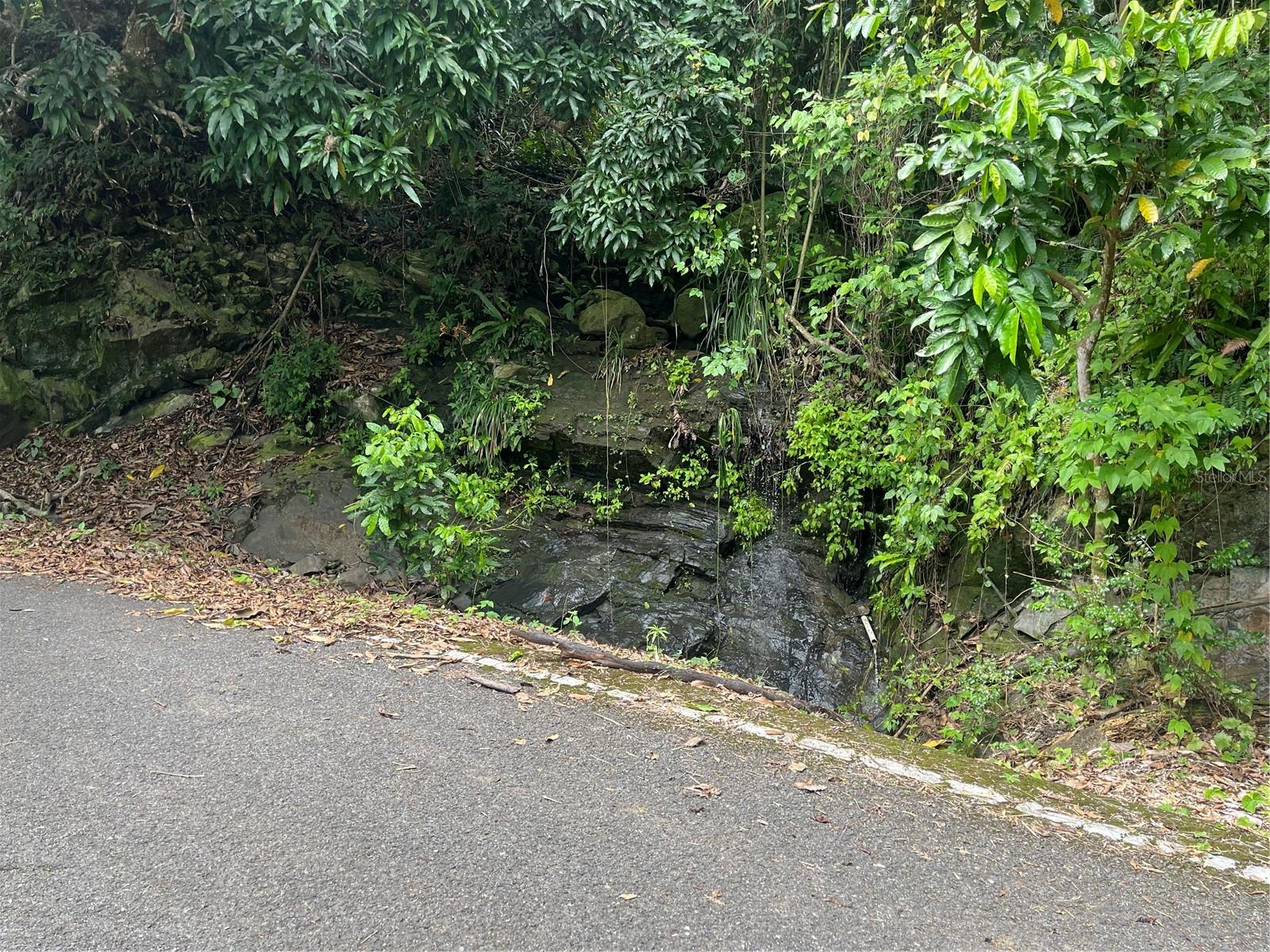 YAUCO — foto 8