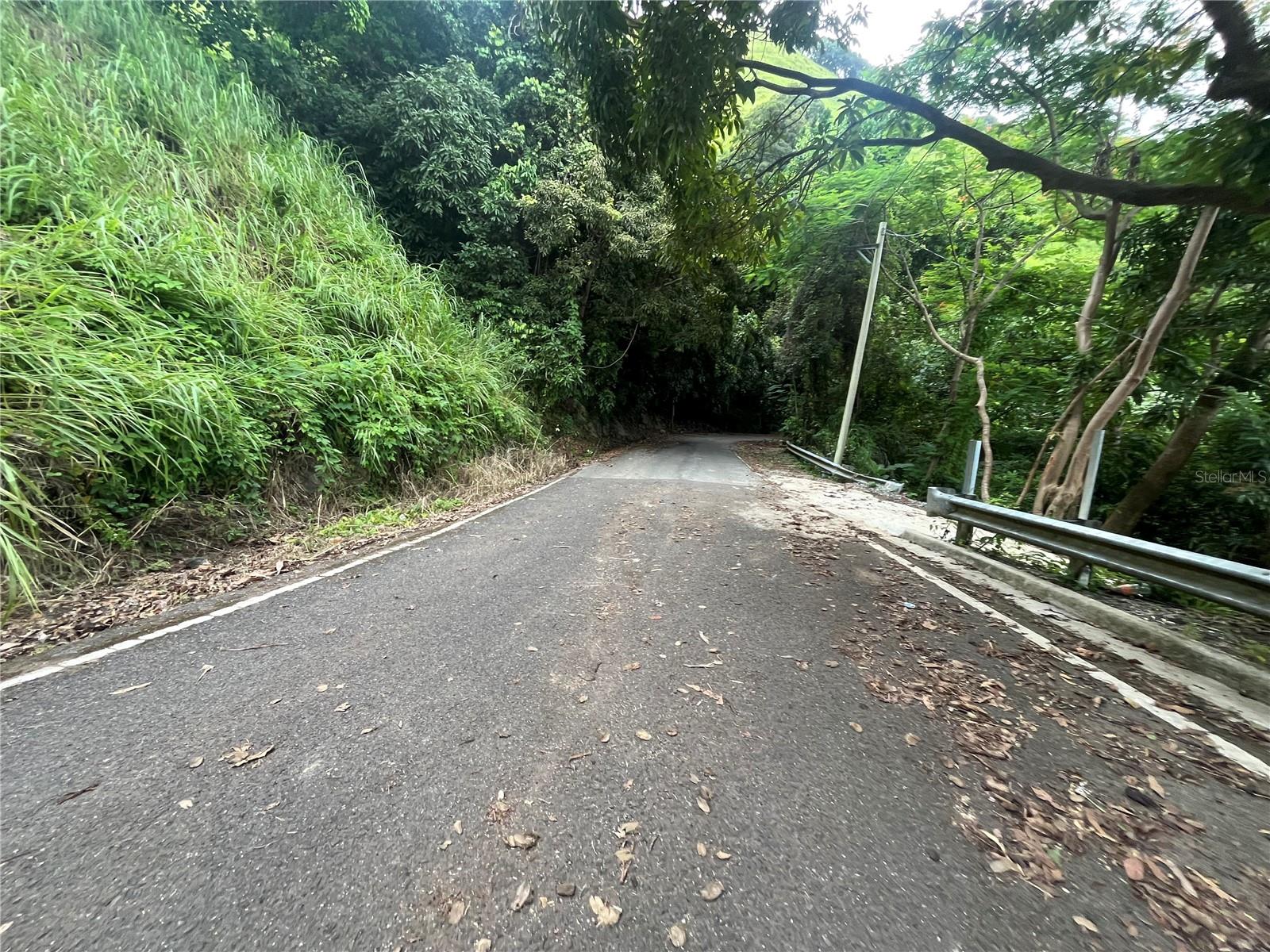 YAUCO — foto 9