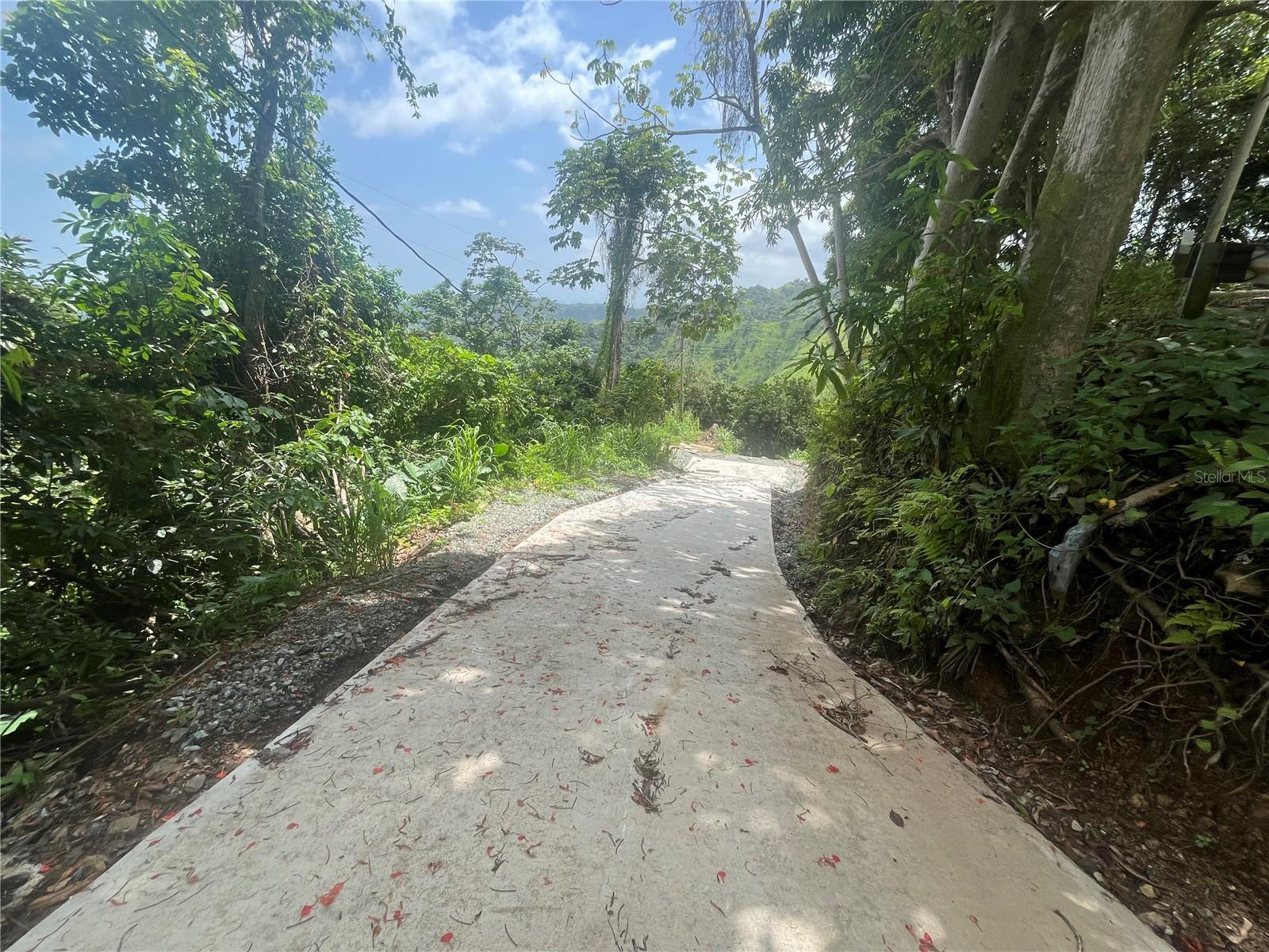 YAUCO — foto 10