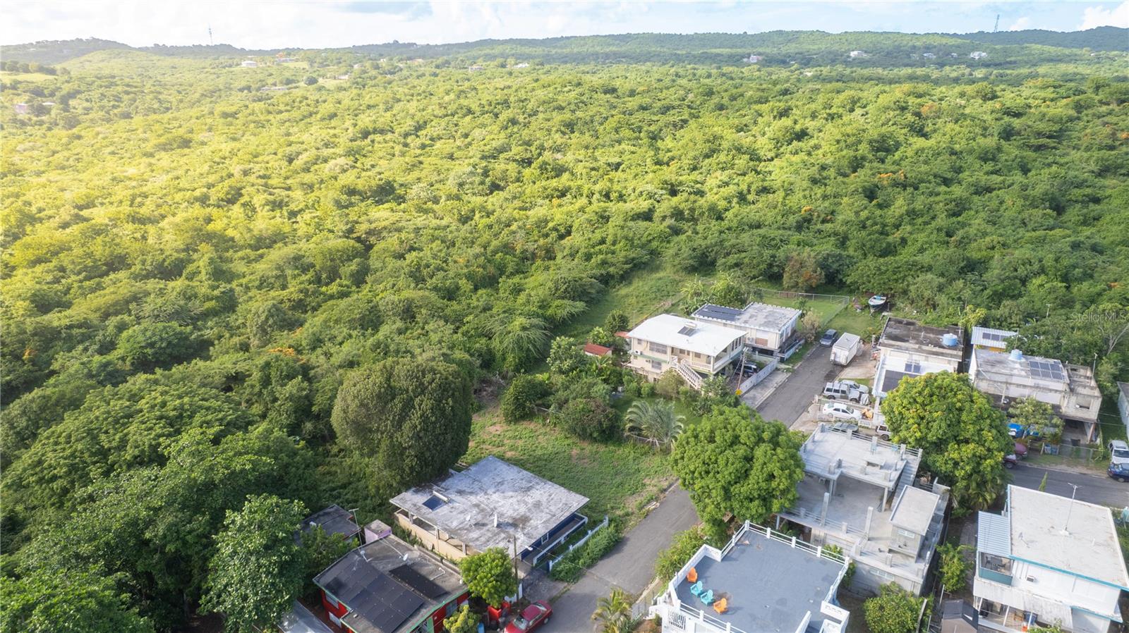 VIEQUES — foto 2