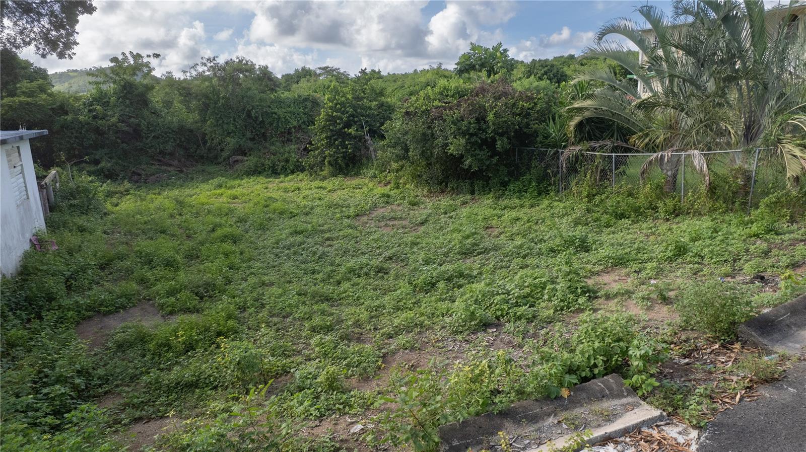 VIEQUES — foto 4