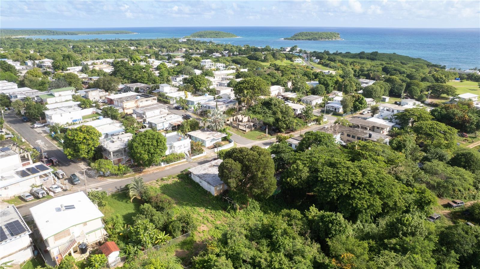VIEQUES — foto 6