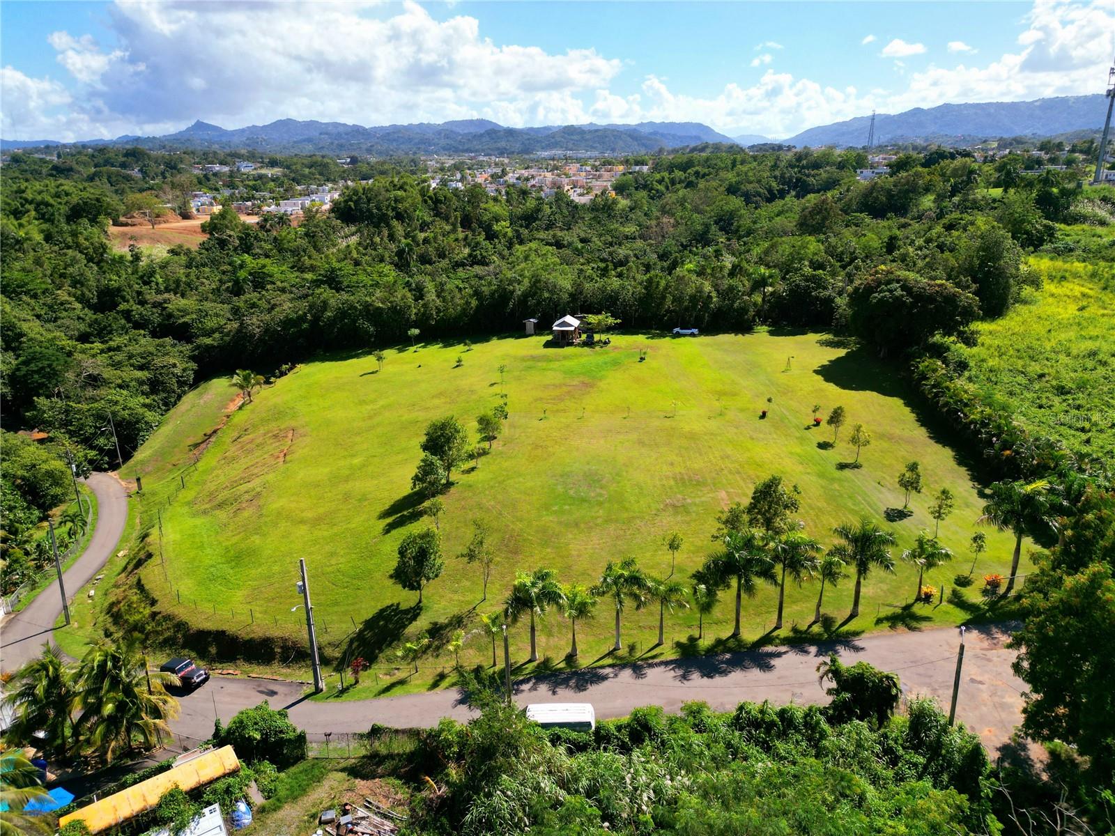 TOA ALTA — foto 2