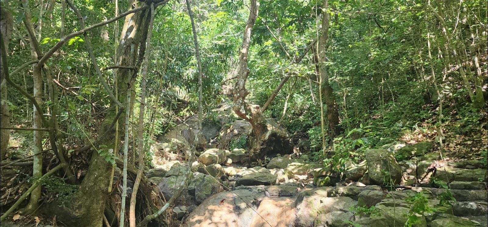 RINCON