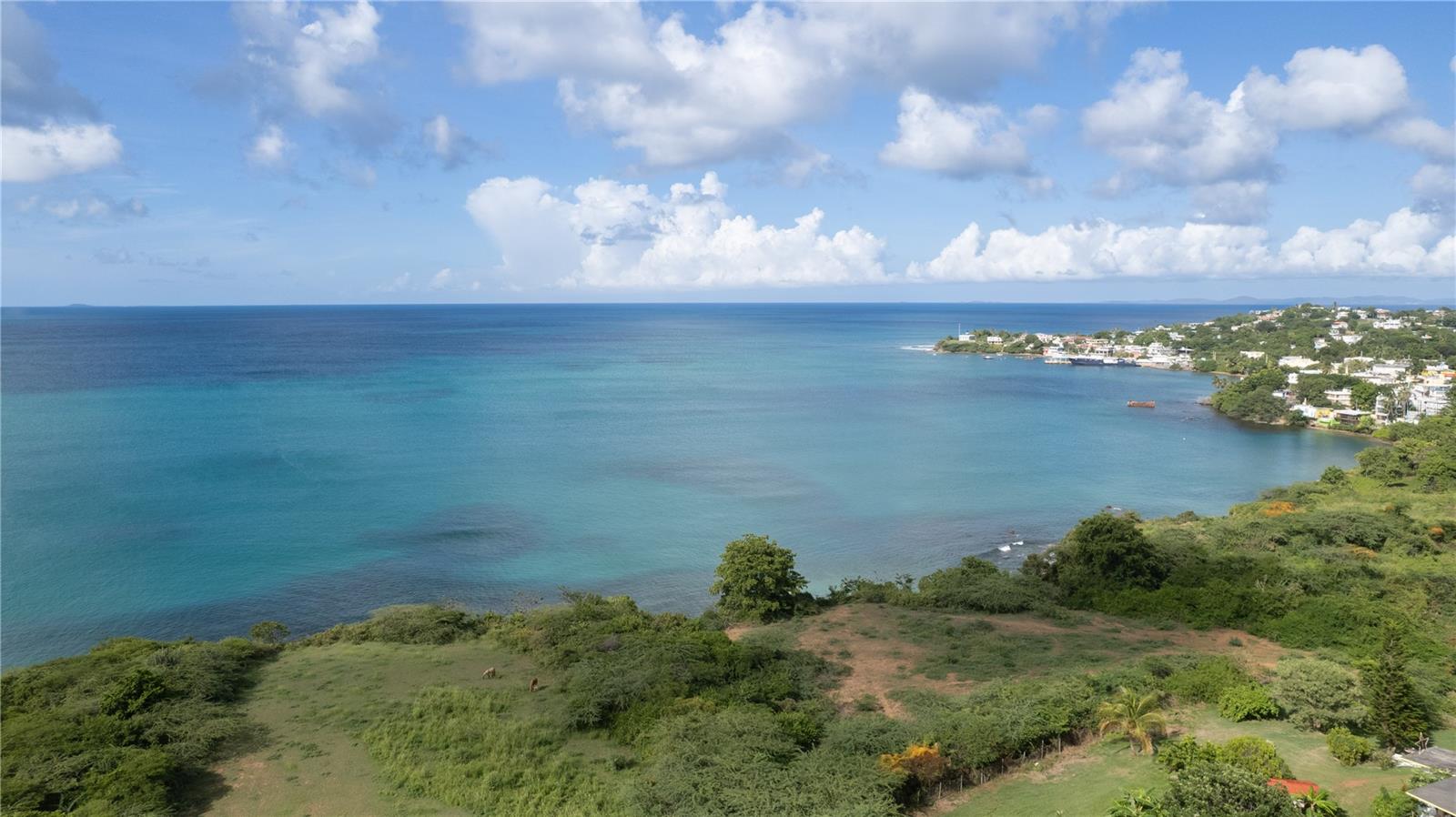 VIEQUES